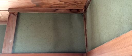 保険適用例のイメージ